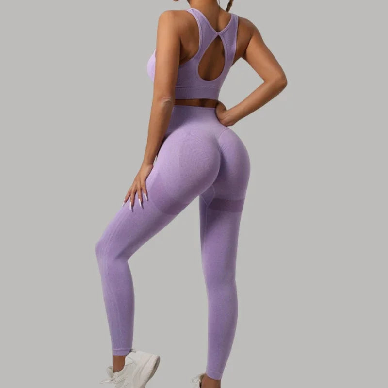 Mileegirl 2pcs Sport Sets Women Gym, Push Up Yoga Pants, Hollow Back Gym Fitness Bra, Workout Leggings, Seamless Tights Sets